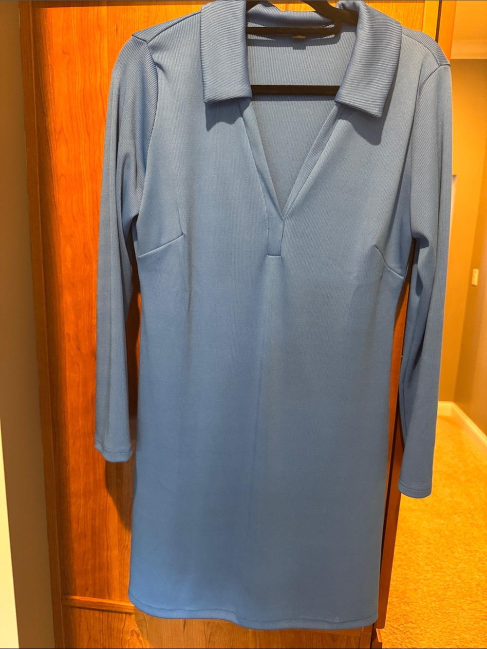 Boston Proper Blue Collared V-Neck Long Sleeve Tunic